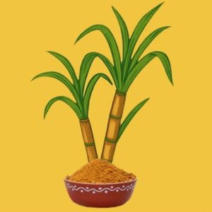 Natural and Chemical free Jaggery Powder
