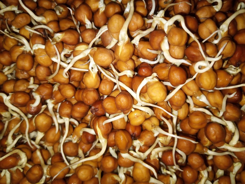 Multigrain Sprouted Powder - Image 5