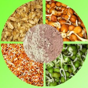 Multigrain Sprouted Powder