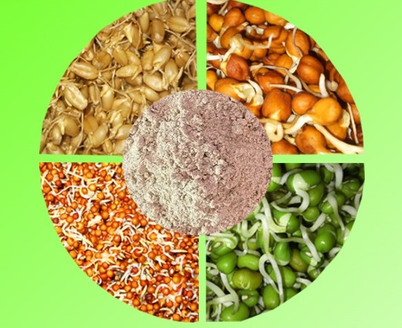 Multigrain Sprouted Powder