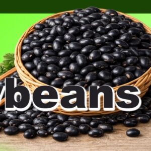 Uttarakhand pahadi Black Soybeans